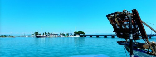 Grado - Cordone ombelicale Grado - Cordone ombelicale