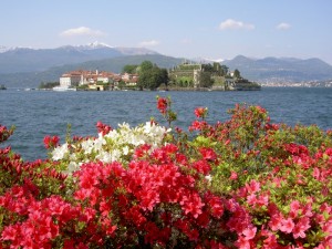 Isola Bella “floreale”