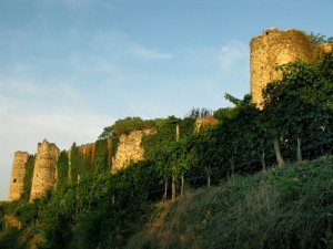Torriato ovest del castello