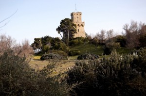 Torre di cerrano