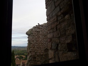 Dalla Rocca Aldobrandesca