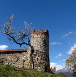 Torre del borgo