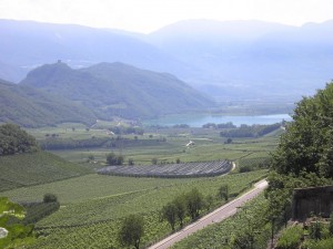 Veduta del lago di Caldaro
