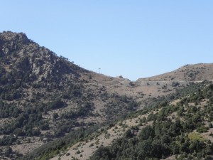 S’arcu corr’e'boi