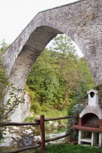 Barbecue sotto il Ponte