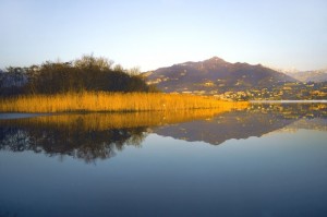 SPECCHIO D’ACQUA