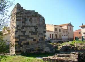 Ruderi del Castello di Ardara