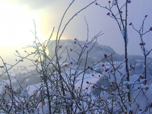 Castelnovo ne' Monti - Pietra di Bismantova Castelnovo ne' Monti - Pietra di Bismantova