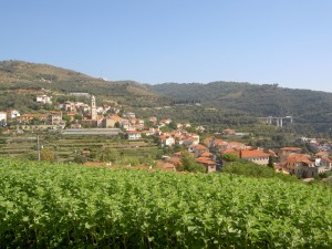 Pompeiana vista dalla Torre