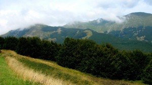 Salendo su, verso il Passo del Cerreto