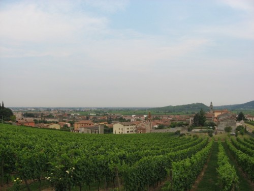 Vicenza - La quiete tra i colli vicentini Vicenza - La quiete tra i colli vicentini