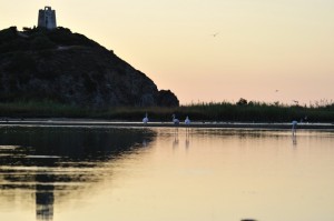 Torre CHIA all’alba