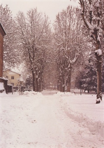San Secondo Parmense - La Nevicata del 2006