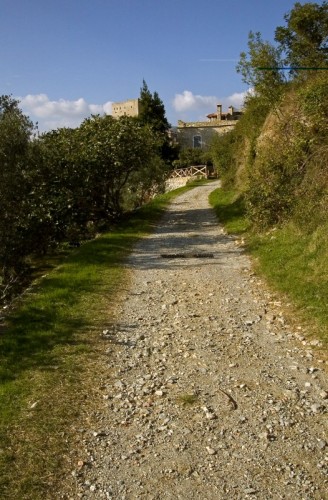Castelvecchio di Rocca Barbena - A piedi verso il Castello...