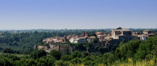 Gallese - Gallese da ""Macchia Madonna"" Gallese - Gallese da ""Macchia Madonna""