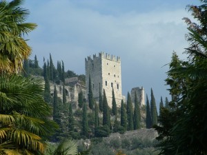 sempre in primo piano