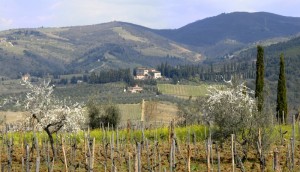 Campagna del Chianti Fiorentino