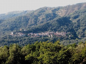 Sant’Alessio in Aspromonte - Panorama