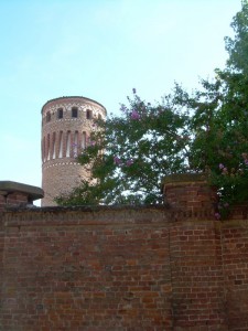 Castello di Quinto in fiore…..