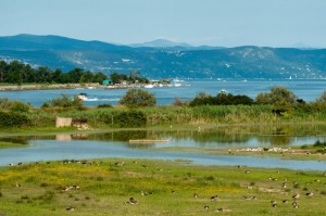 isola della cona, parco naturale alla foce del fiume isonzo