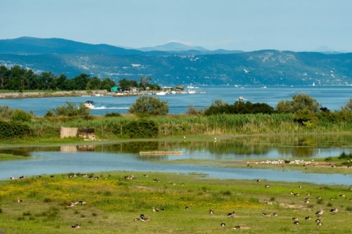 Staranzano - isola della cona, parco naturale alla foce del fiume isonzo