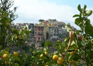 Corniglia