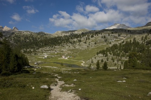 Marebbe - Il parlamento delle marmotte