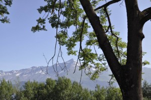 Il Rocciamelone, visto dalla Borgata La losa (Val Susa-TO)