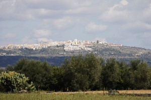 Distesa sulla collina