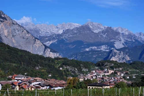 Cavedine - Cavedine Cavedine - Cavedine