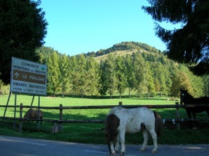Monte Legnarola sopra Campo Croce - Massiccio del Grappa