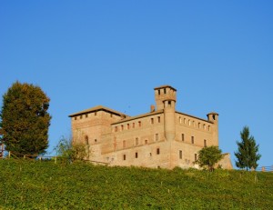 Il Castello di Cavour tra i vitigni