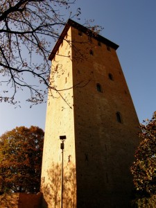 ‘la torre dei bolognesi’