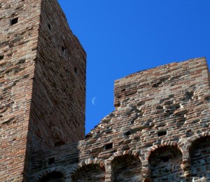 …è inutile che ti nascondi!!!