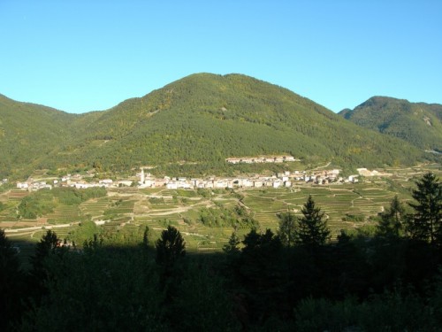 Faver - Faver Faver - Faver