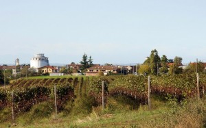 Predosa frazione Mantovana