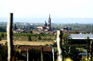 Sezzadio e la sua Cattedrale