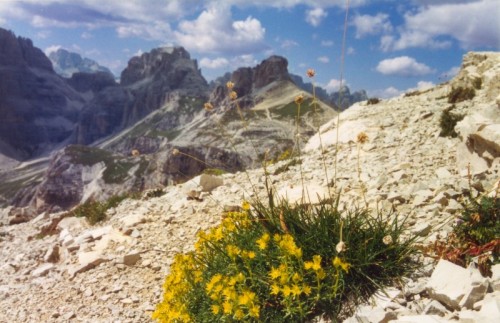 Sesto - Il Collerena (2.607 m) - Vista sulle Dolomiti di Sesto.
