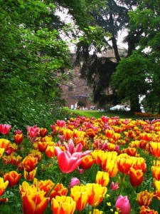 messer tulipano al castello di pralormo