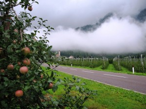 la via delle mele