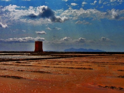 Paceco - Saline Paceco - Saline