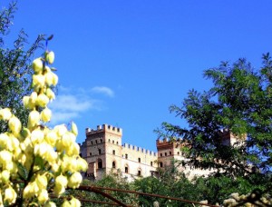 la Castelluccia tra i fiori