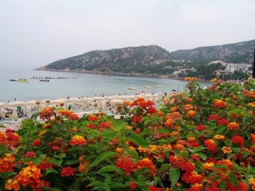 Arzachena - i fiori di baja sardinia accerezzano il mare