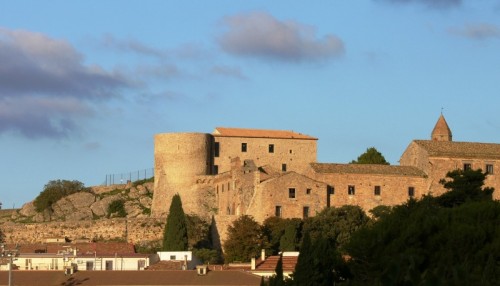 Bovino - Come una sentinella