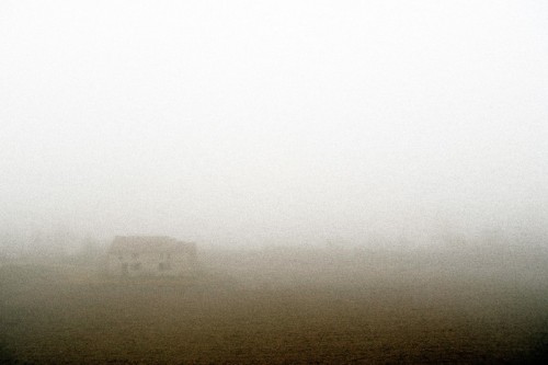 Serravalle a Po - 8. TRA LA NEBBIA LUNGO IL PO