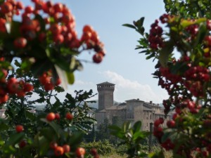 Castello di Levizzano Rangone