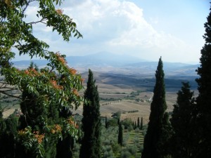 Dal giardino del palazzo