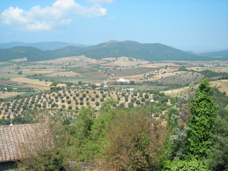 ''Vista sulle colline'' - Capalbio