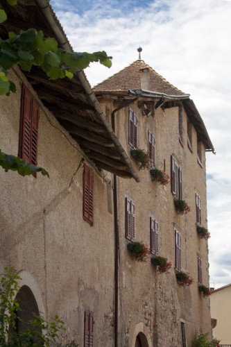Sanzeno - Casez, il castello Sanzeno - Casez, il castello
