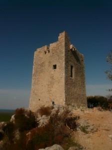 Torre di castelmarino nel parco della maremma